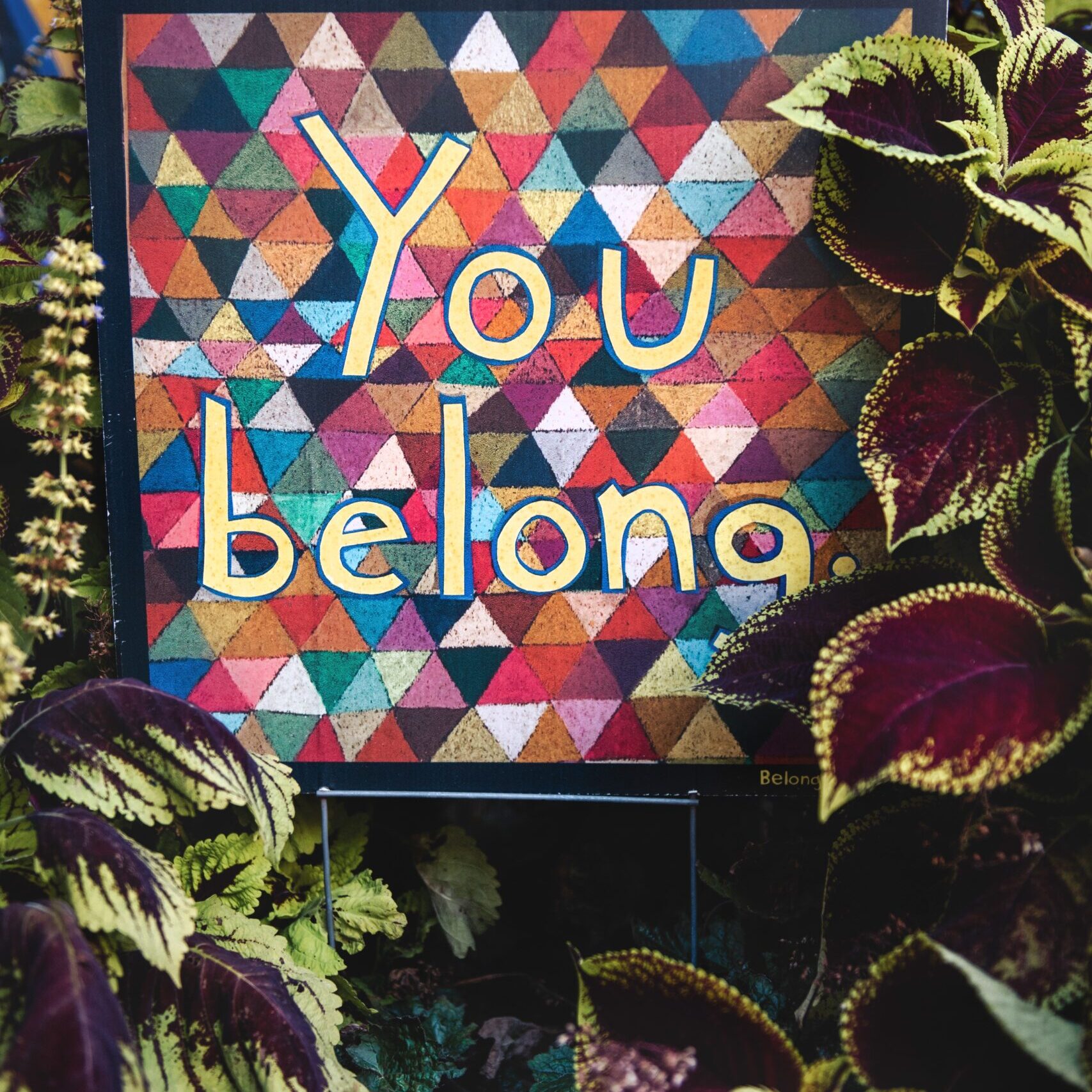 Colorful sign surrounded by plants, the words "You Belong" in yellow.